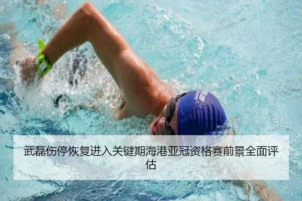 武磊伤停恢复进入关键期海港亚冠资格赛前景全面评估
