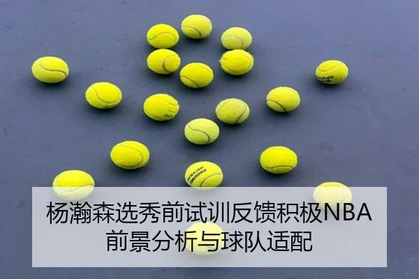 杨瀚森选秀前试训反馈积极NBA前景分析与球队适配